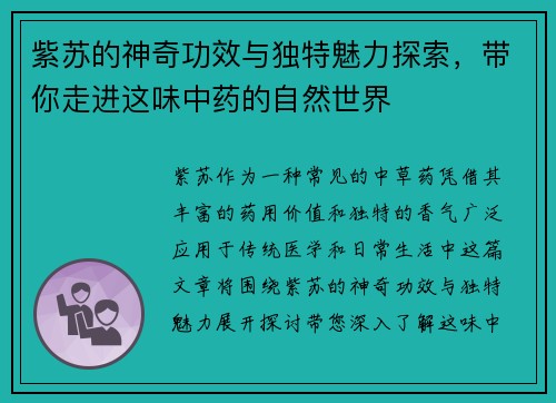 紫苏的神奇功效与独特魅力探索，带你走进这味中药的自然世界