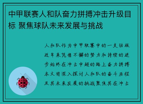 中甲联赛人和队奋力拼搏冲击升级目标 聚焦球队未来发展与挑战